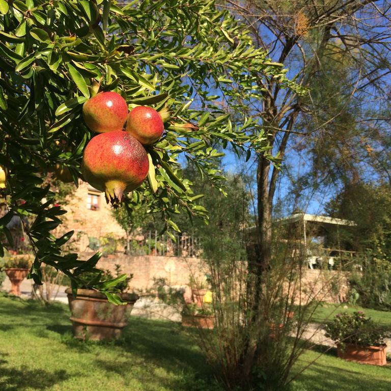 Podere Il Pero Siena Exteriör bild